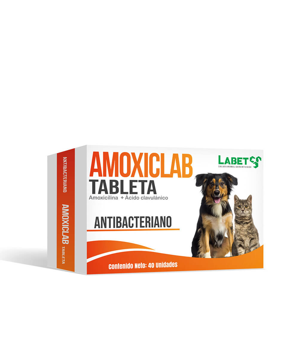 amoxiclab-tableta AMOXICLAB TABLETAS - Imagen 1