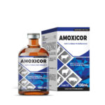 AMOXICOR