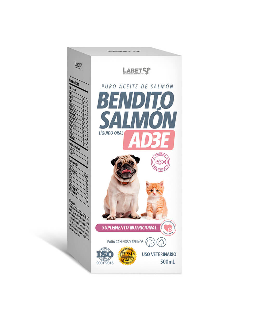 bendito-salmon-ad3e BENDITO SALMON - Imagen 1
