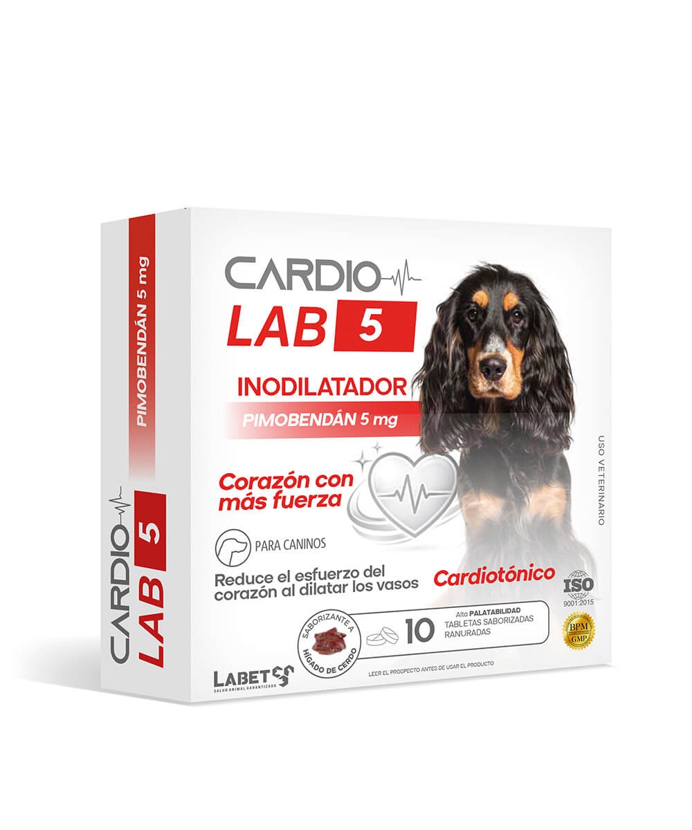 cardiolab-500 CARDIOLAB 5 - Imagen 1