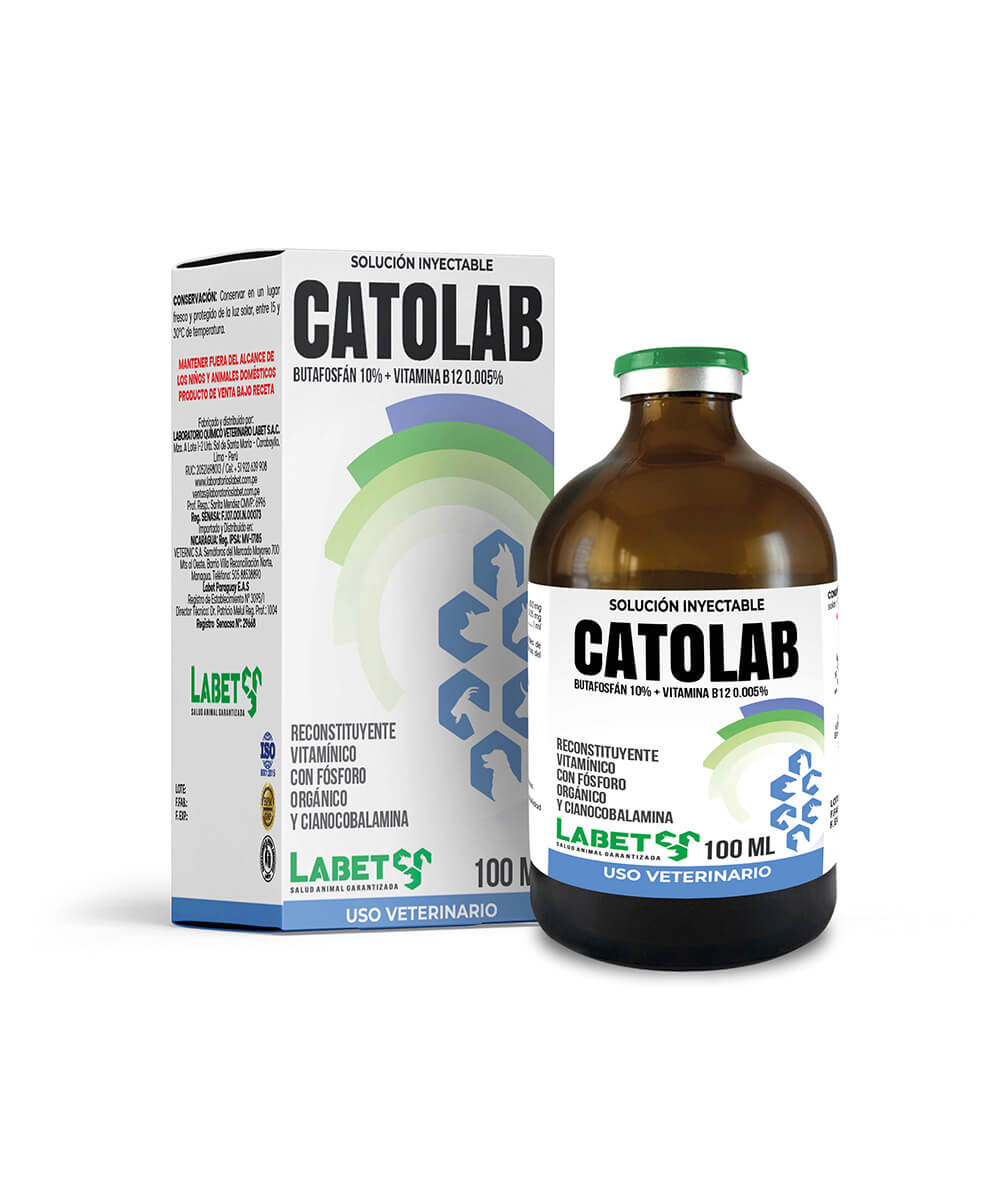 catolab CATOLAB - Imagen 1