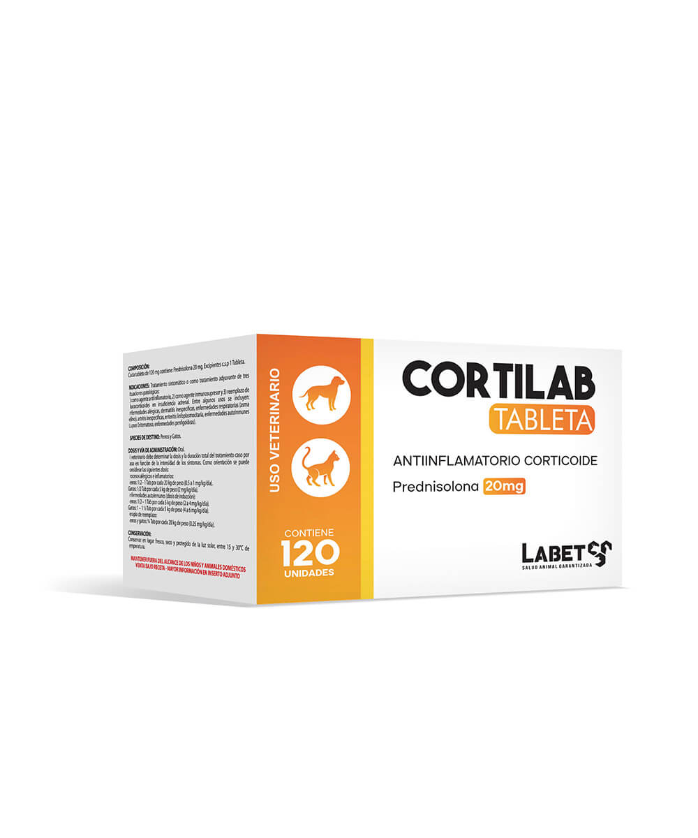cortilab CORTILAB - Imagen 1