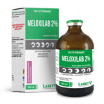 MELOXILAB 2%