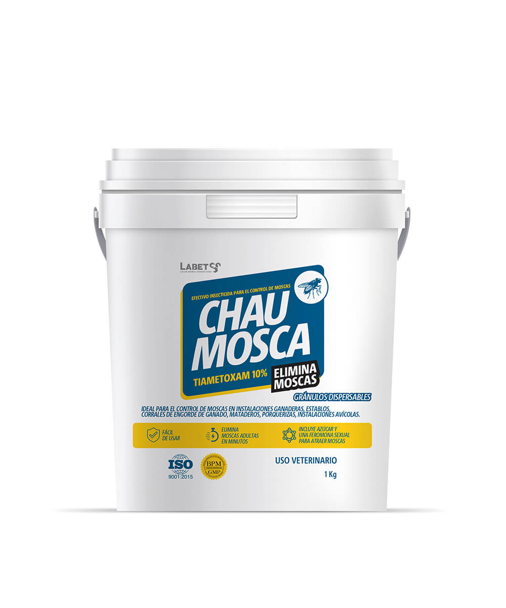 chau-mosca CHAU MOSCA - Imagen 1